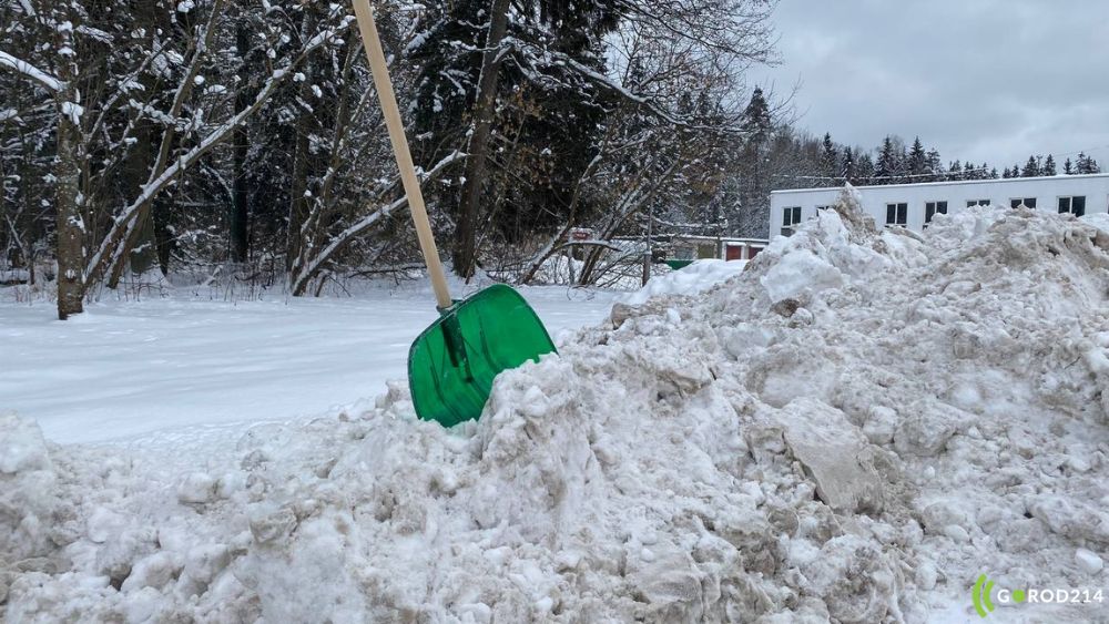 photo_2026-01-08_15-41-28 (8)