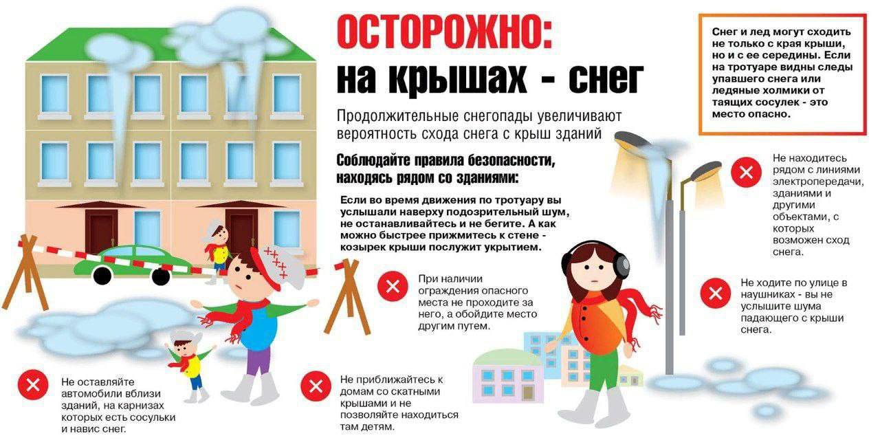 photo_2026-01-12_10-42-57