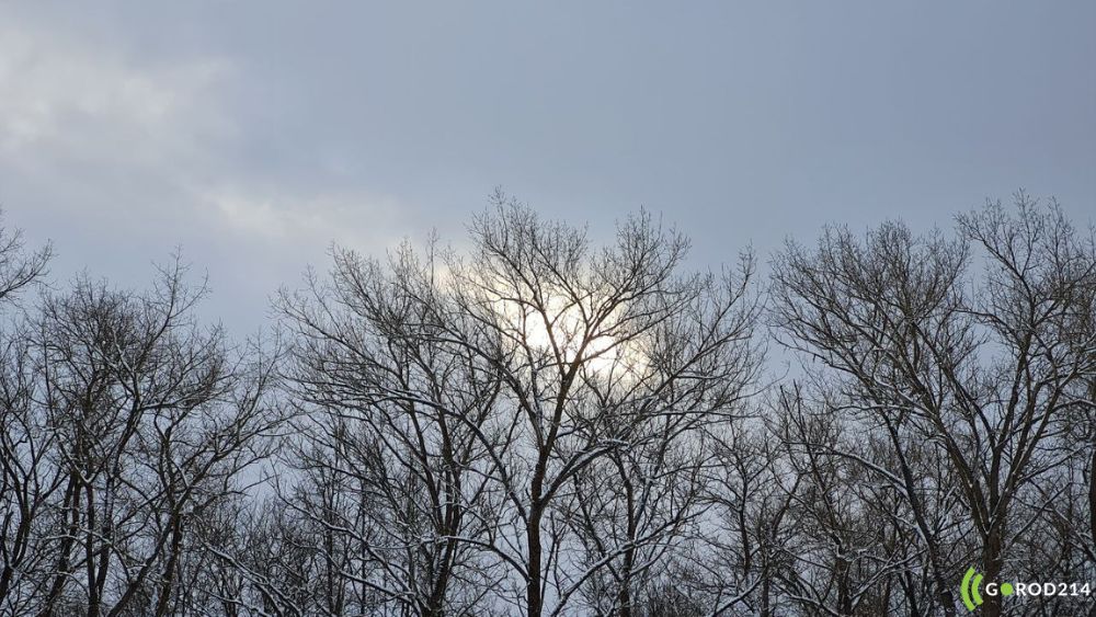 photo_2026-01-12_15-46-09