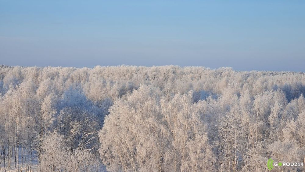 photo_2026-01-15_11-27-28 (5)