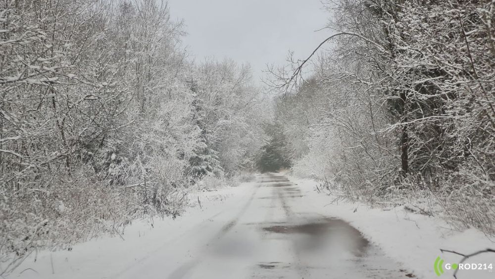 photo_2026-01-15_15-42-22