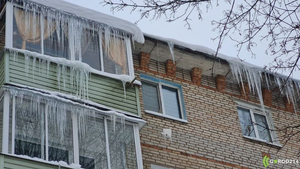 photo_2026-01-16_10-51-15