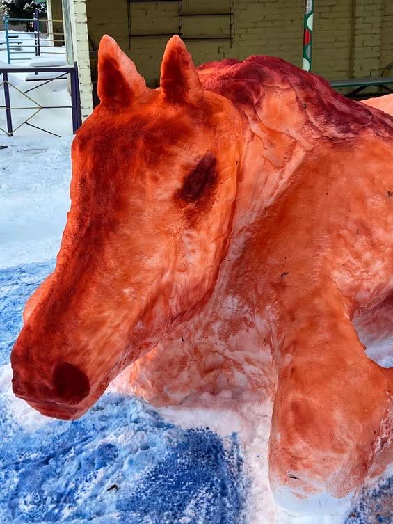 photo_2026-01-16_10-54-03 (2)