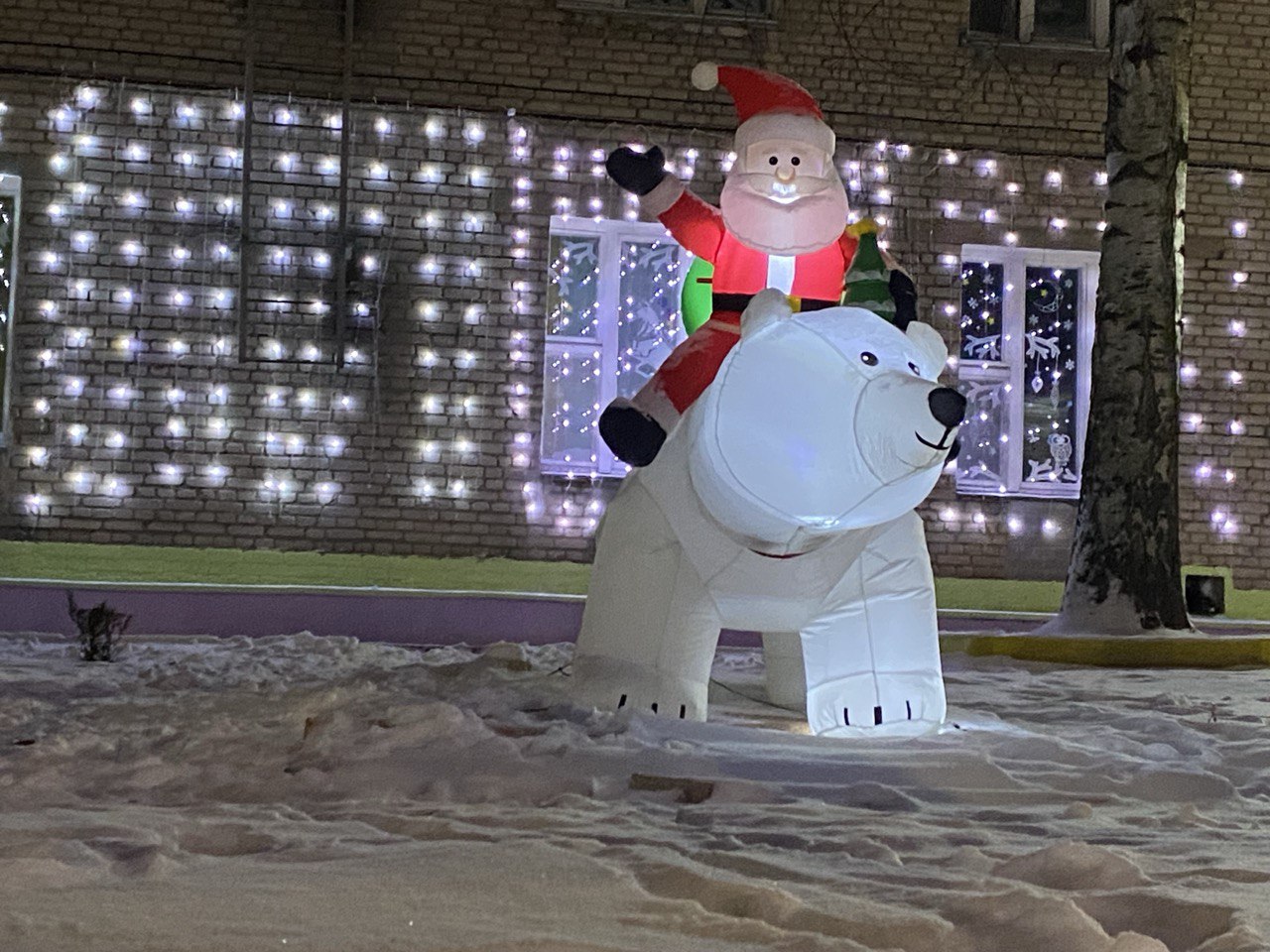 photo_2026-01-19_11-21-22 (5)