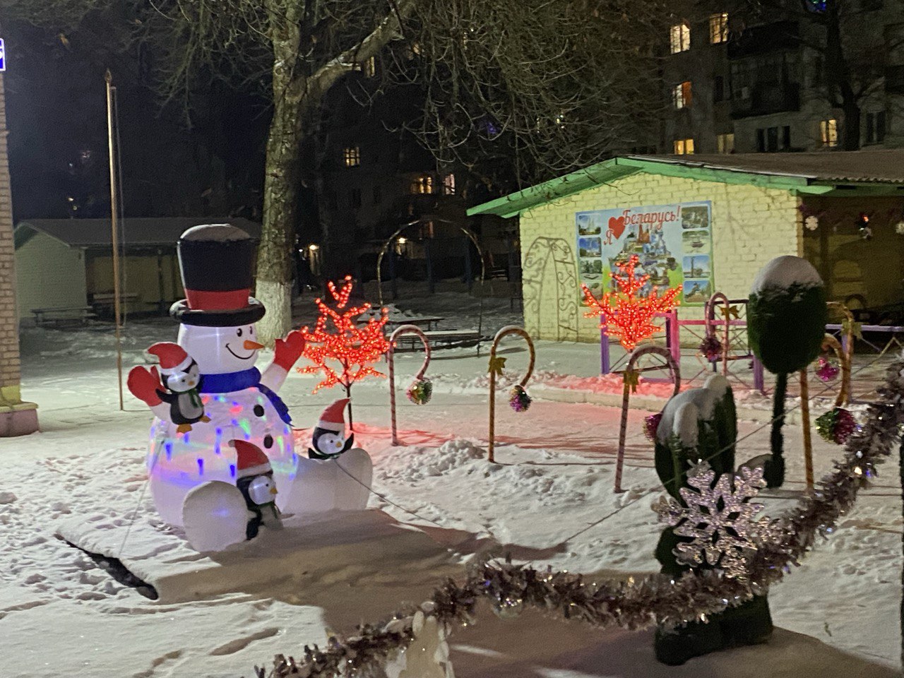 photo_2026-01-19_11-21-22 (6)