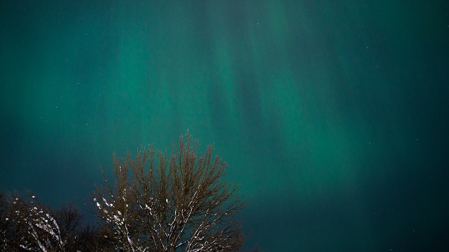 photo_2026-01-20_09-08-01 (2)