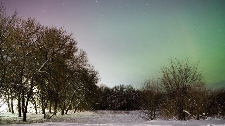 photo_2026-01-20_09-08-02 (2)