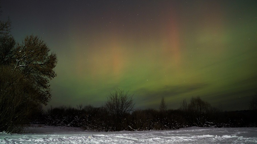 photo_2026-01-20_09-08-02