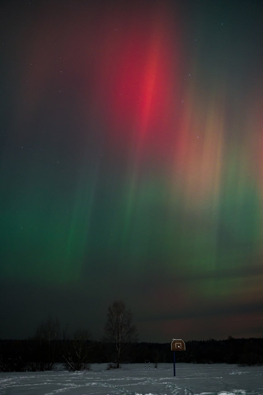 photo_2026-01-20_09-10-56