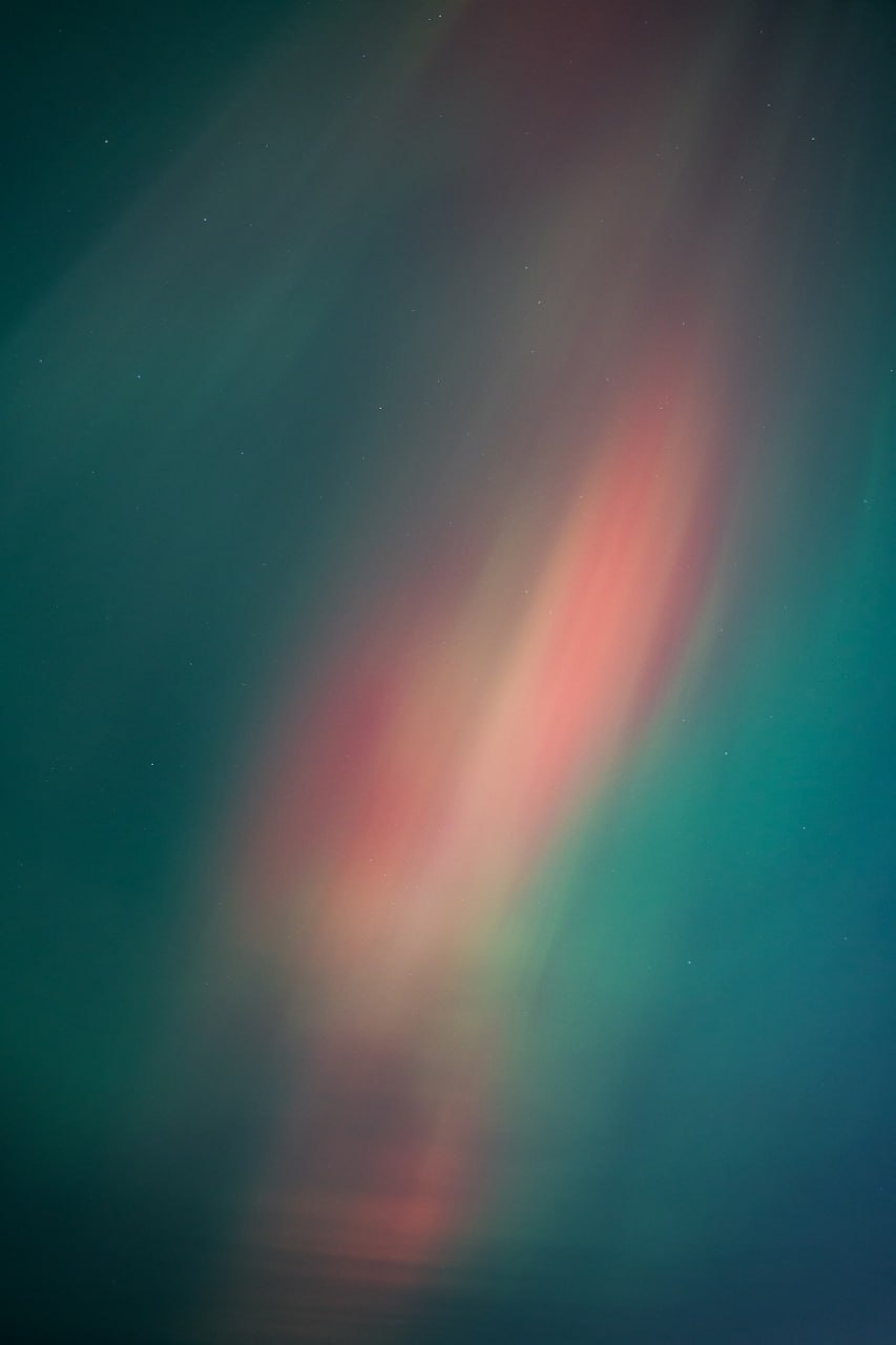 photo_2026-01-20_09-10-57 (2)