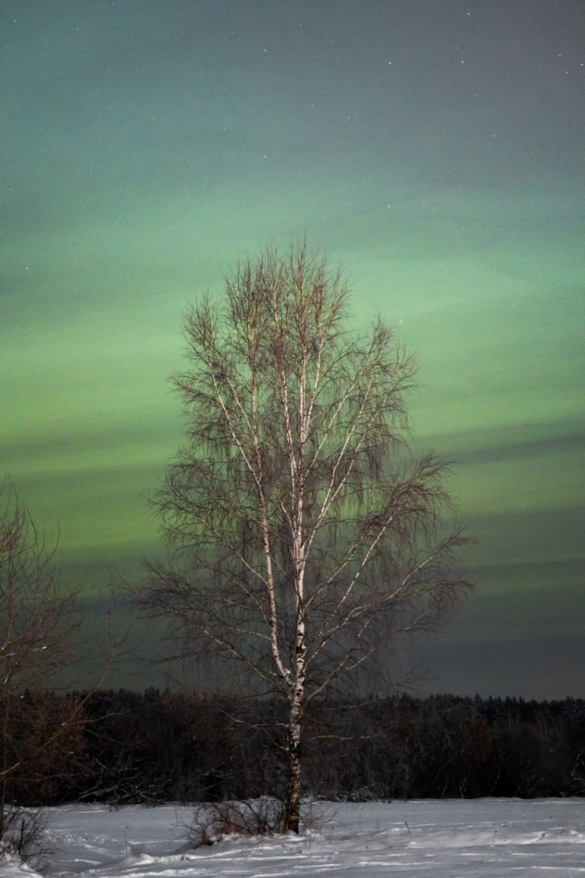 photo_2026-01-20_09-10-57