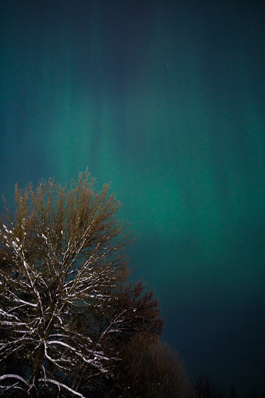 photo_2026-01-20_09-10-59