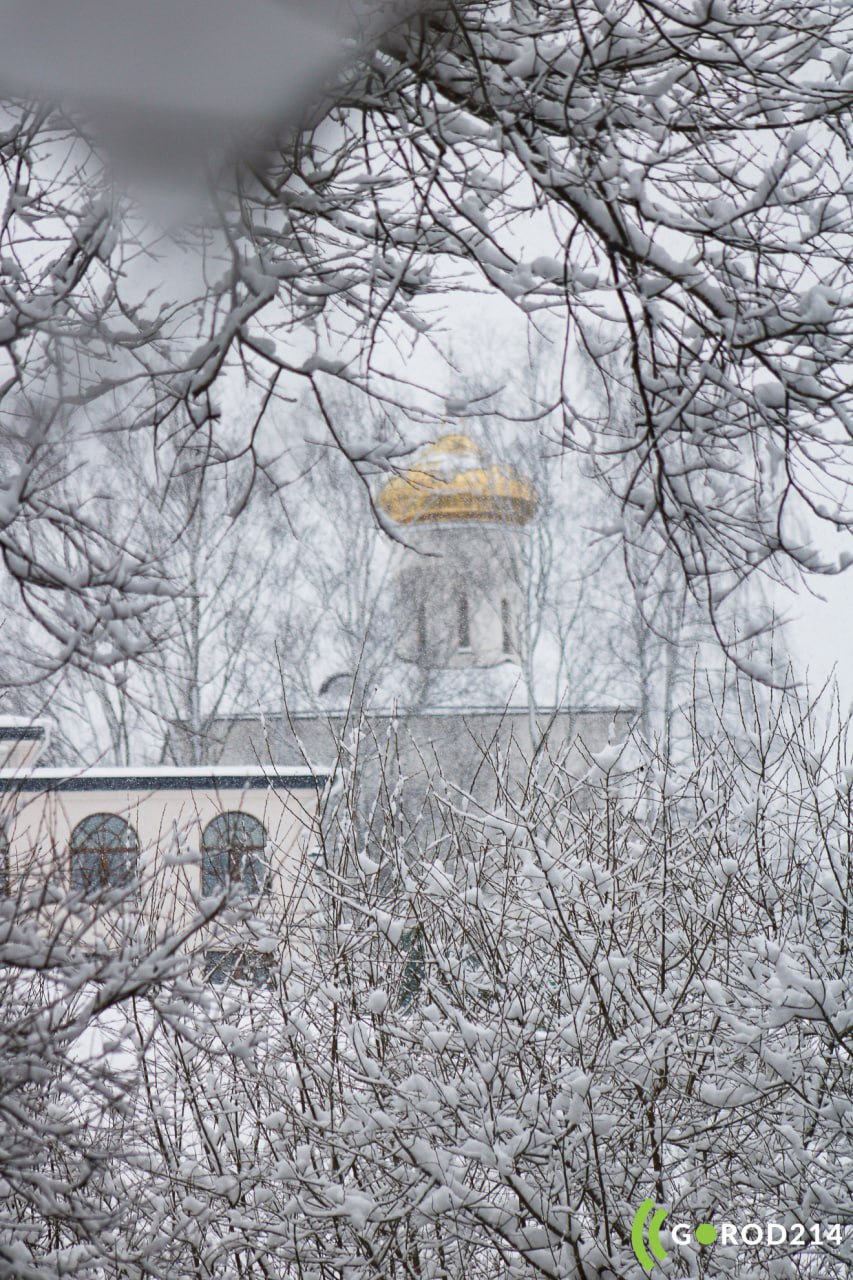 photo_2026-01-20_11-03-54