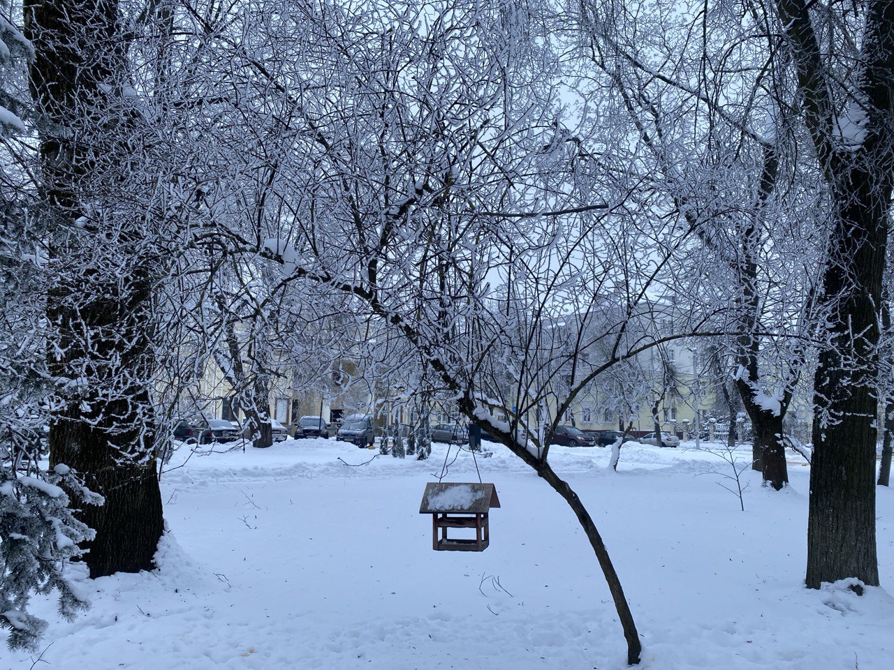 photo_2026-01-21_23-02-13