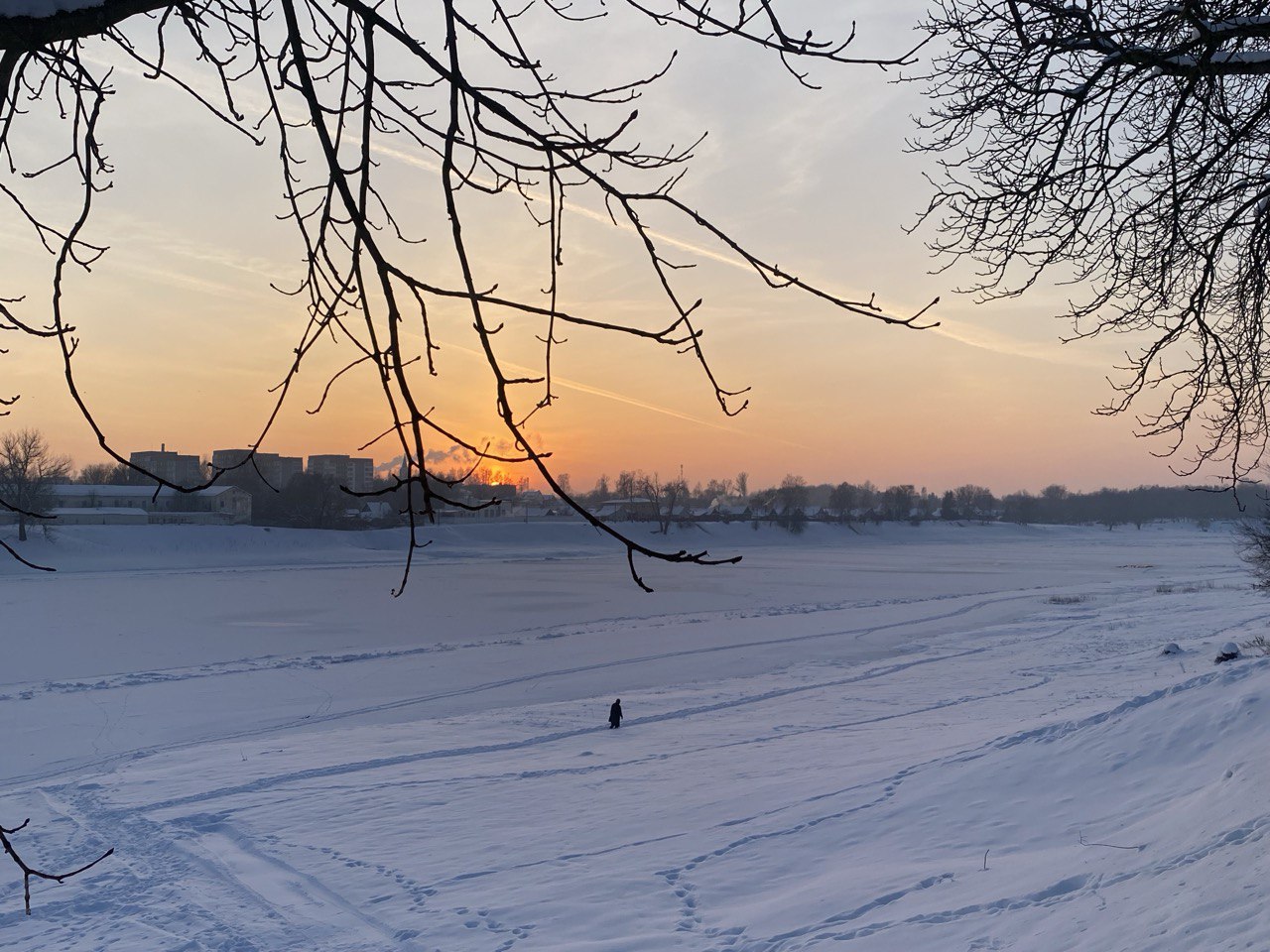 photo_2026-01-22_01-14-16 (2)