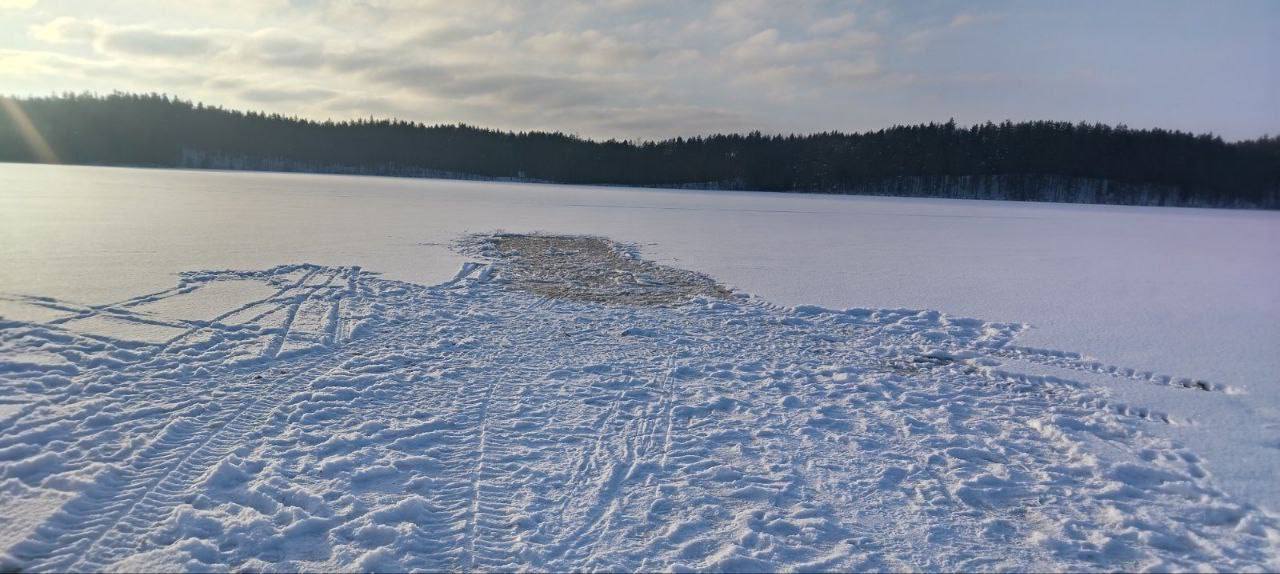 photo_2026-01-24_20-27-37 (2)