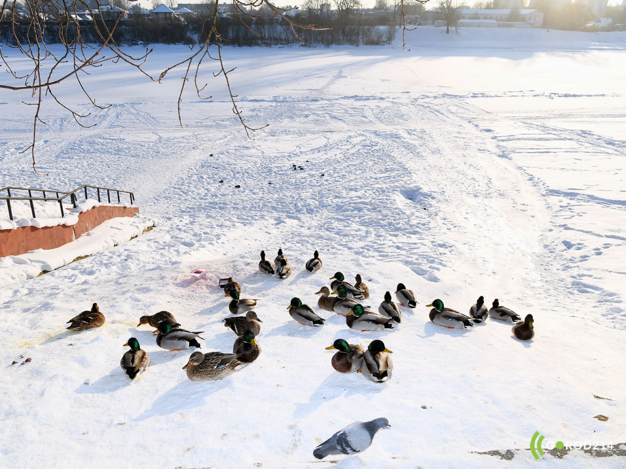 photo_2026-01-26_13-16-03