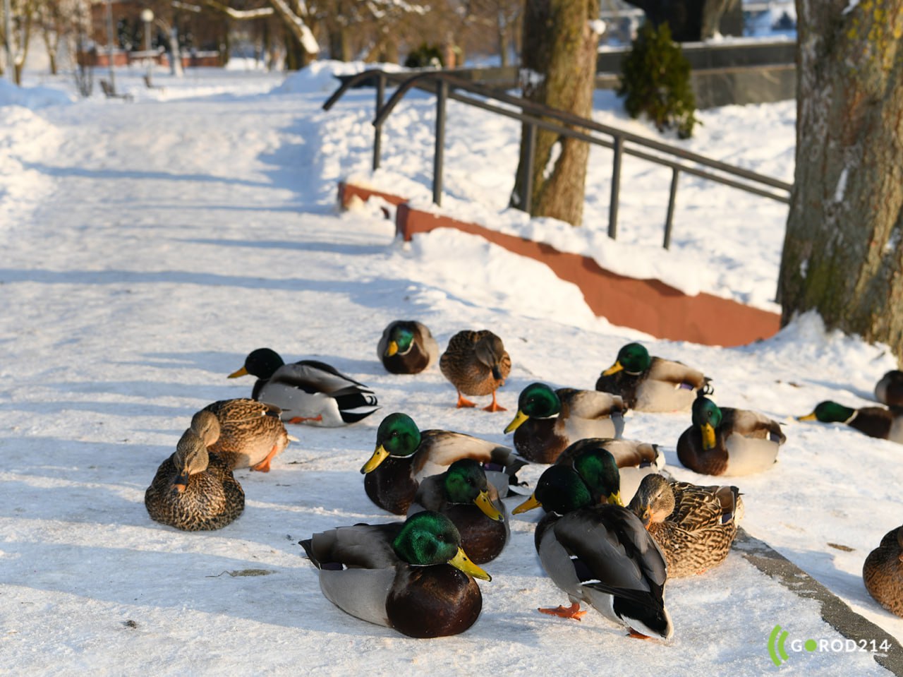 photo_2026-01-26_13-16-05 (2)