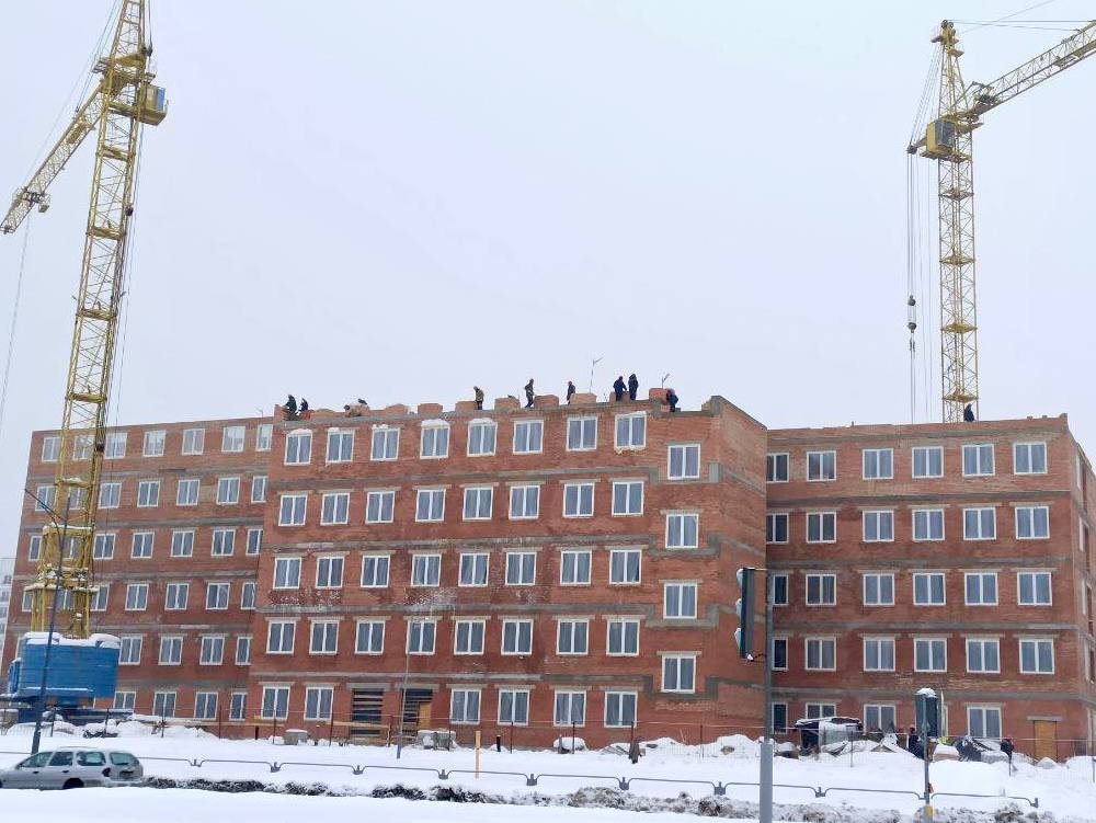 photo_2026-02-12_09-19-03