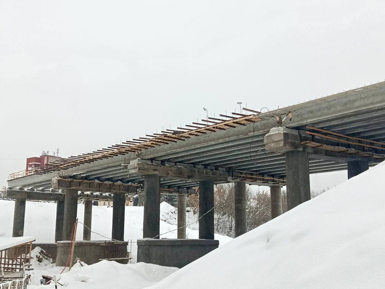 photo_2026-02-12_09-19-37 (2)