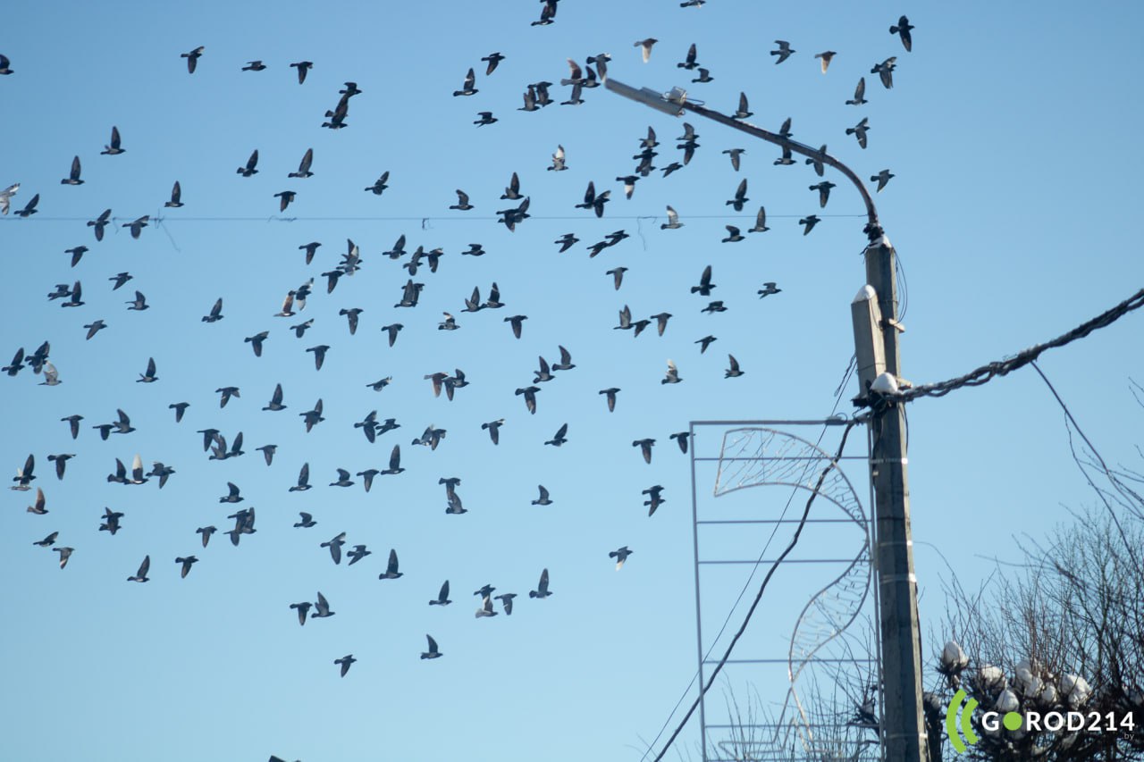 photo_2026-02-13_15-10-28 (2)