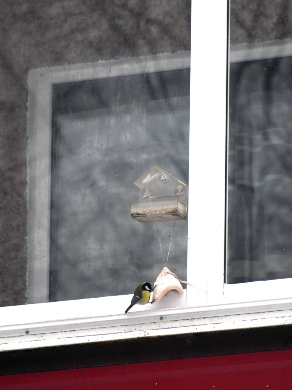 photo_2026-02-13_15-11-44_1