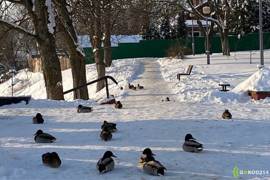 photo_2026-02-13_15-15-15 (2)