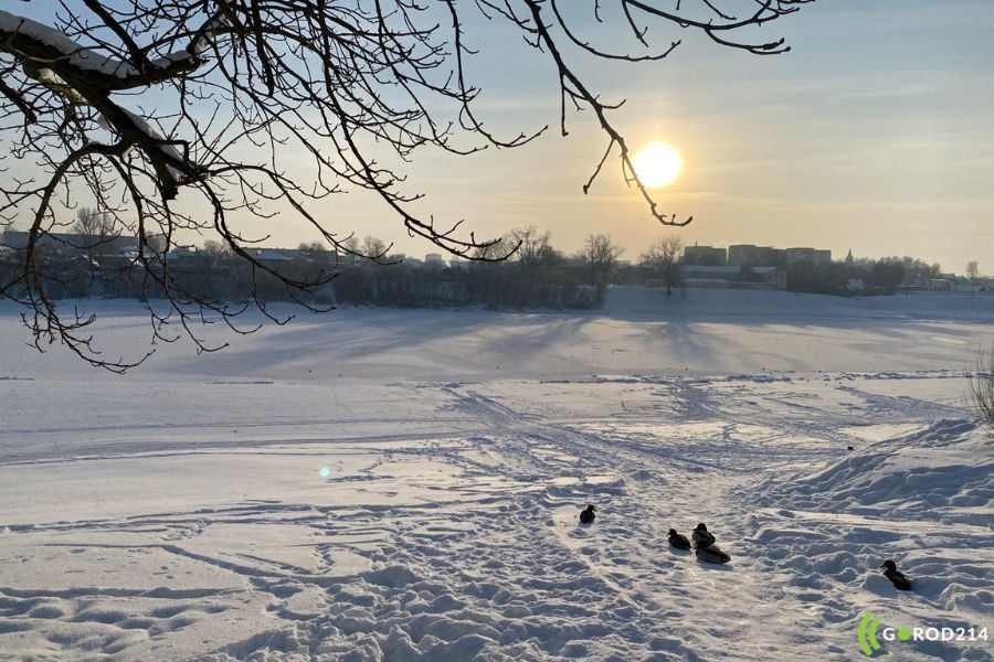 photo_2026-02-13_15-15-15 (3)