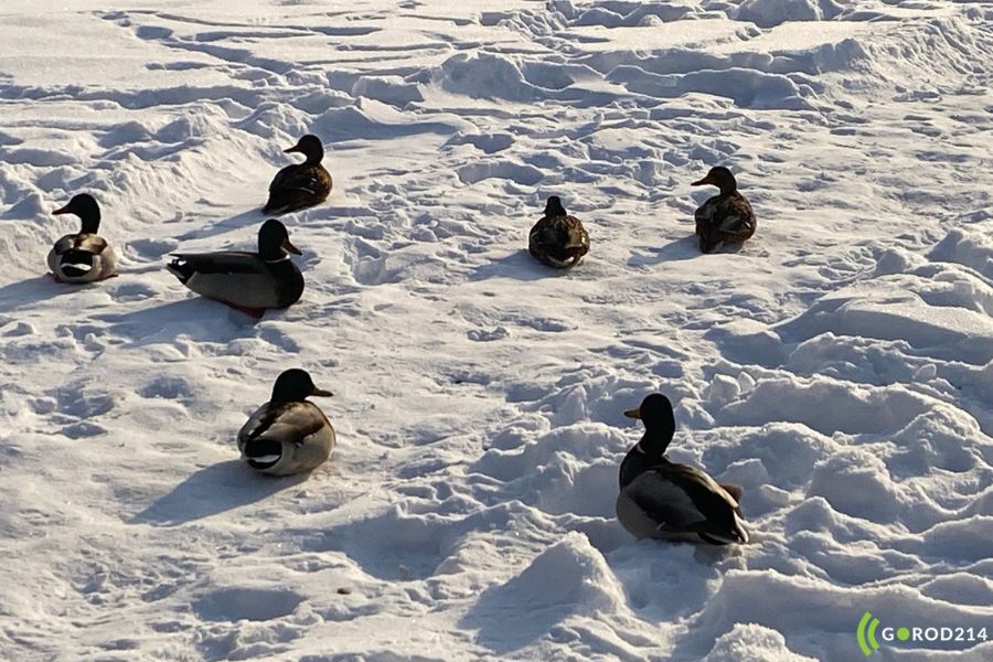 photo_2026-02-13_15-15-15