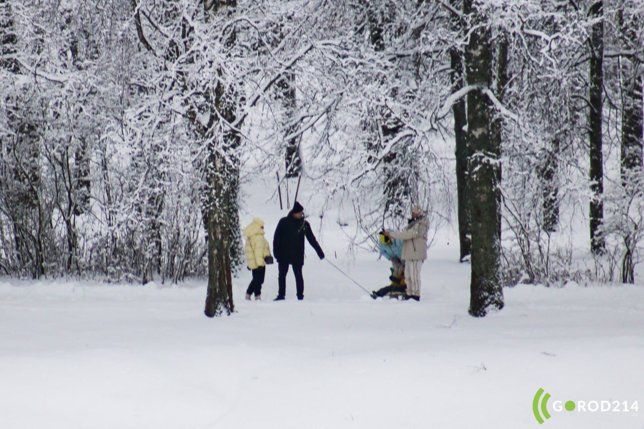 photo_2026-02-17_12-22-49