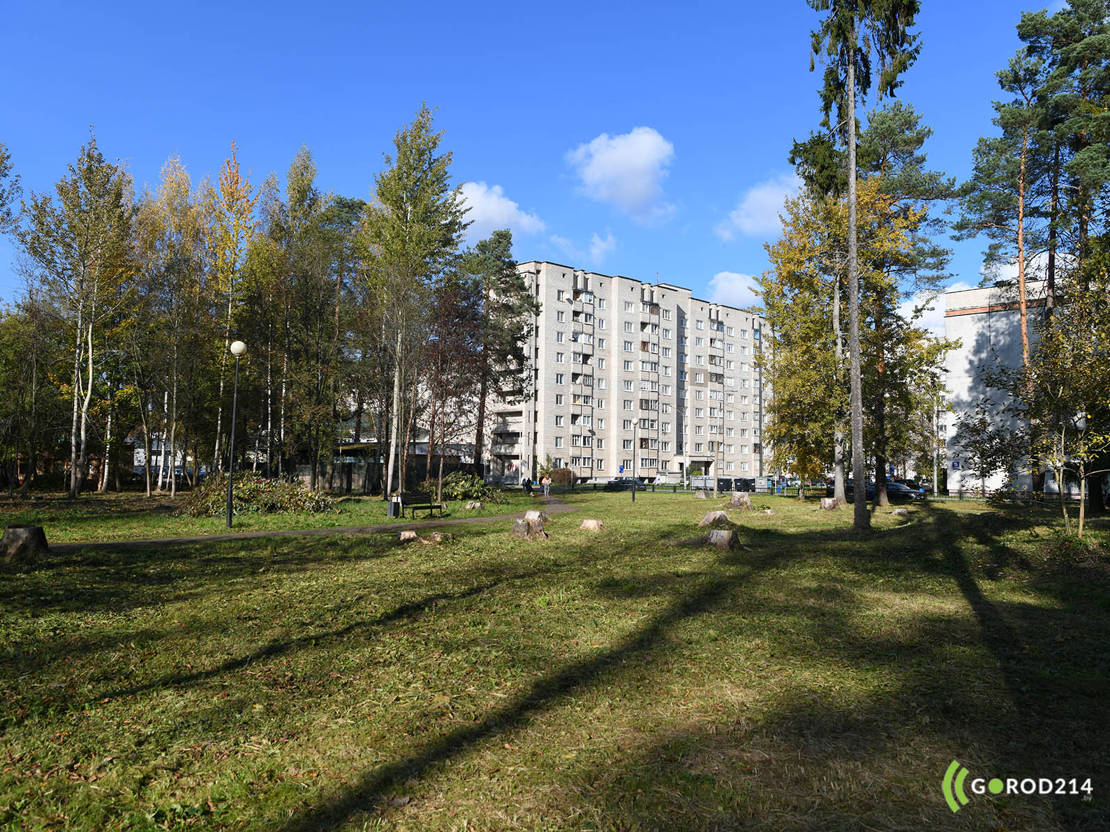 В Новополоцке решили благоустроить еще одну лесопарковую зону