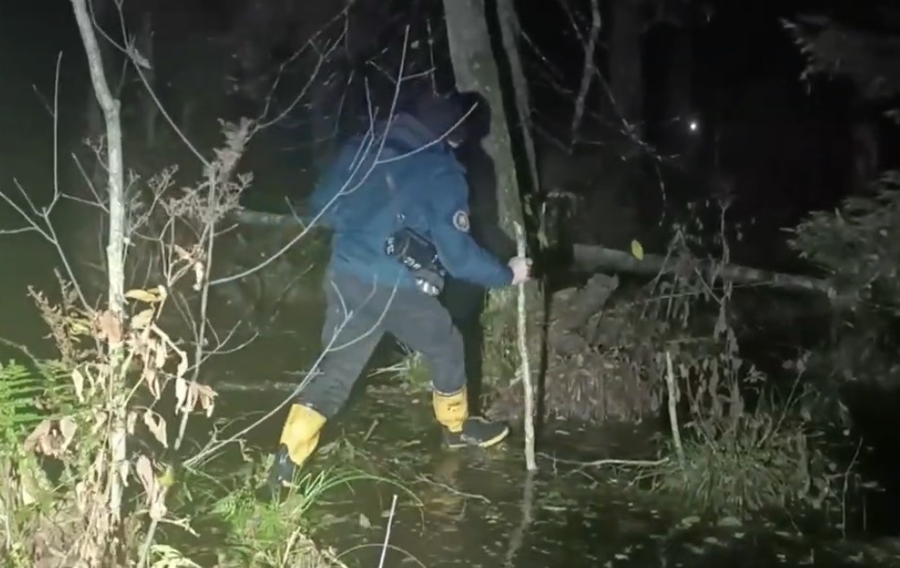 В Полоцком районе спасатели вывели из леса заблудившихся супругов (Видео)